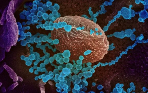 Virus Virus illustration