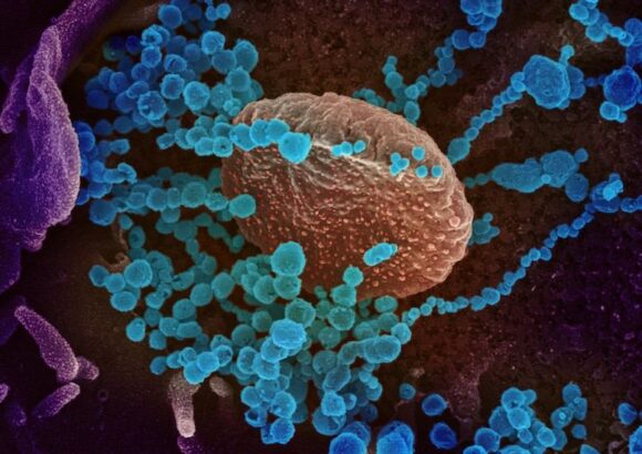 Virus illustration
