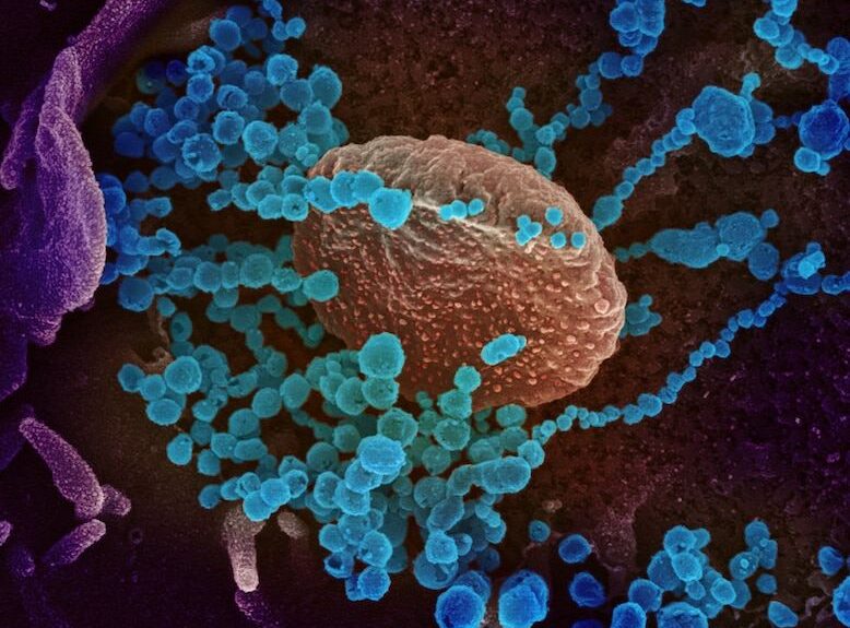Virus illustration